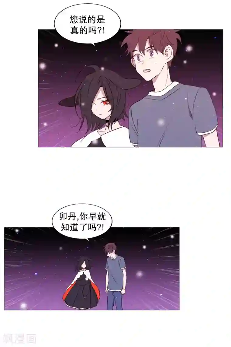 动物灵魂管理局第78话 诅咒