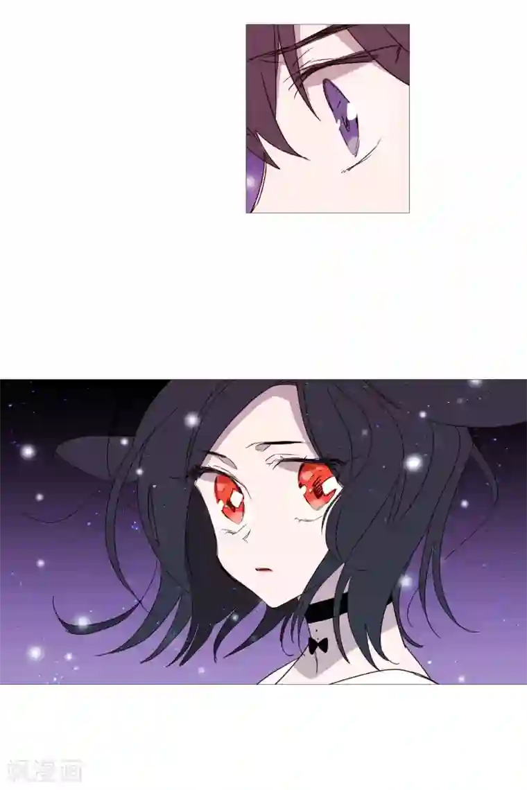 动物灵魂管理局第78话 诅咒