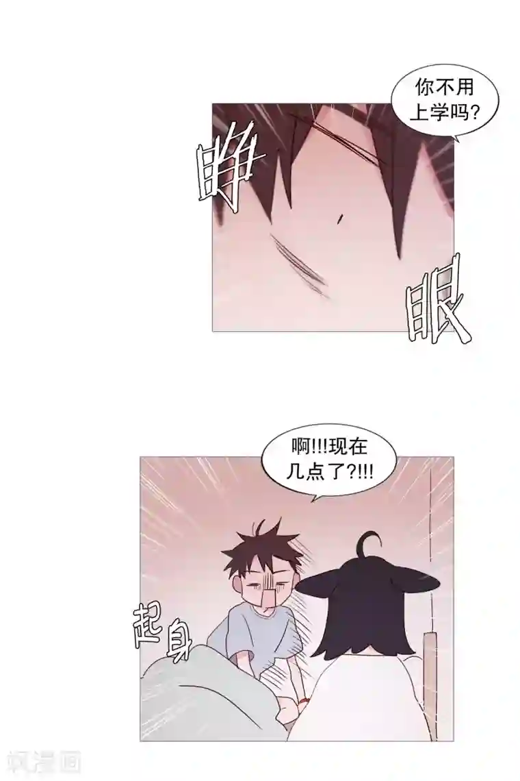 动物灵魂管理局第81话 早起上学