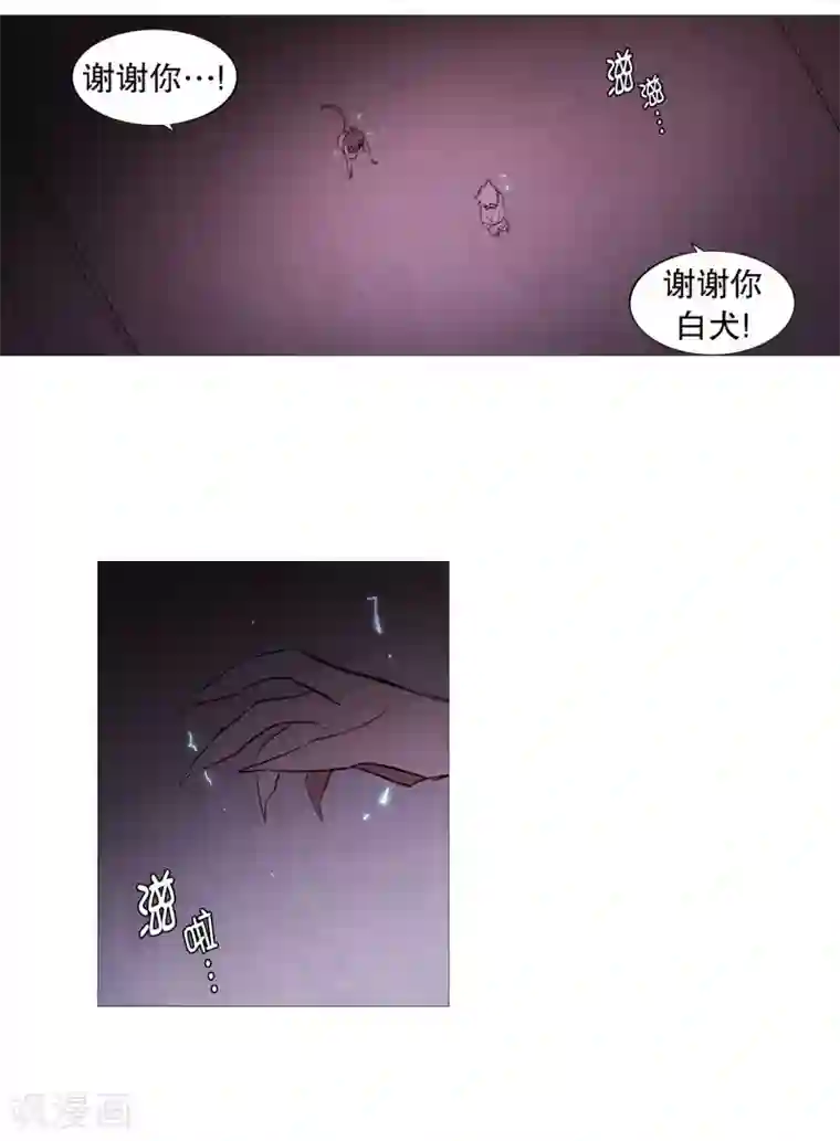 动物灵魂管理局第82话 亚岚哥