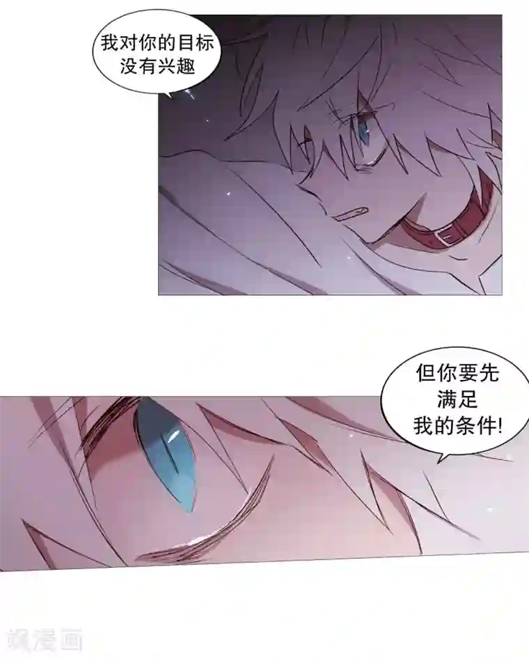 动物灵魂管理局第82话 亚岚哥