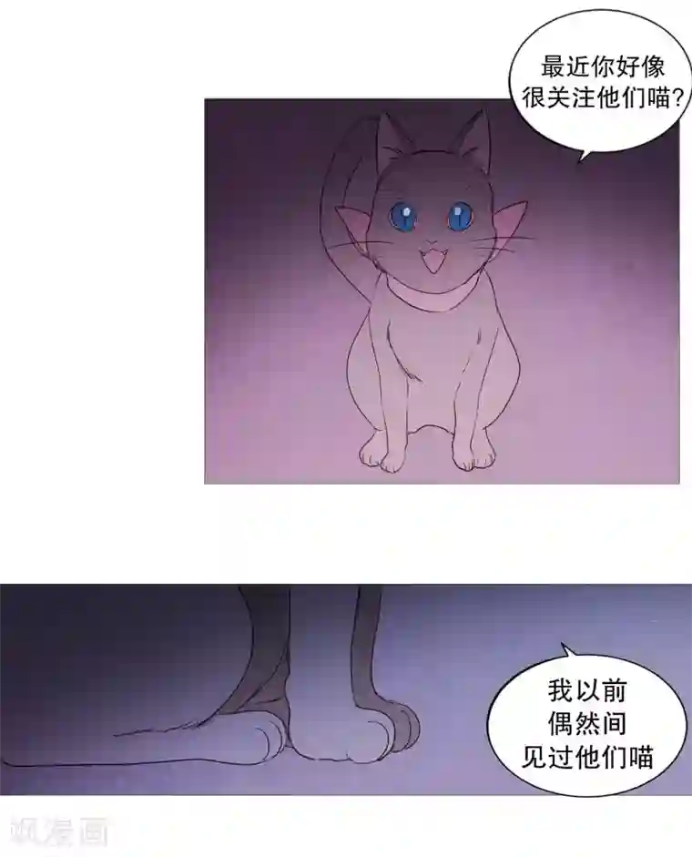 动物灵魂管理局第83话 无