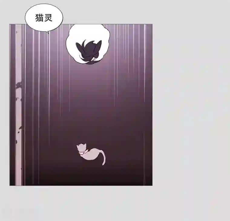 动物灵魂管理局第83话 无