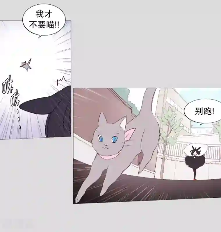 动物灵魂管理局第83话 无