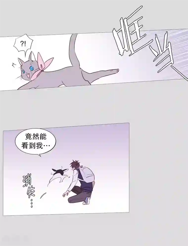动物灵魂管理局第83话 无
