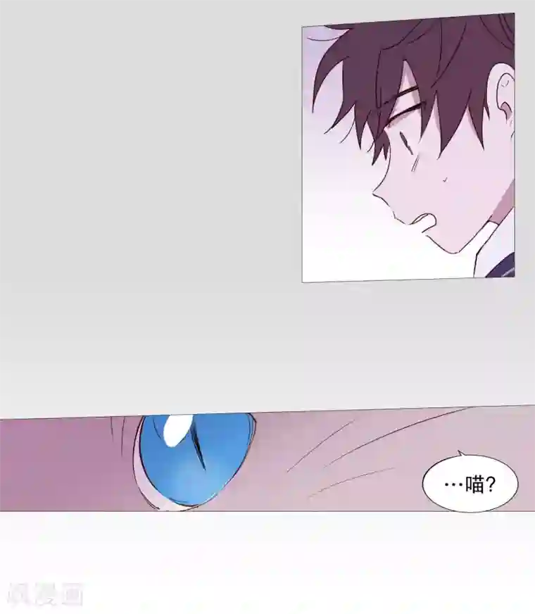 动物灵魂管理局第83话 无
