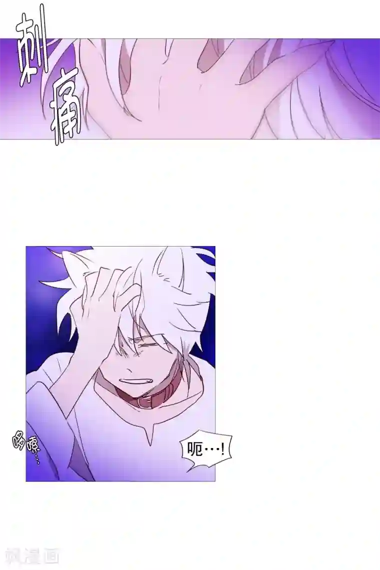 动物灵魂管理局第83话 无