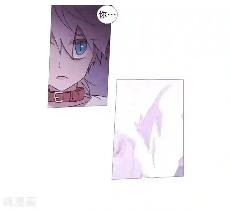 动物灵魂管理局第83话 无