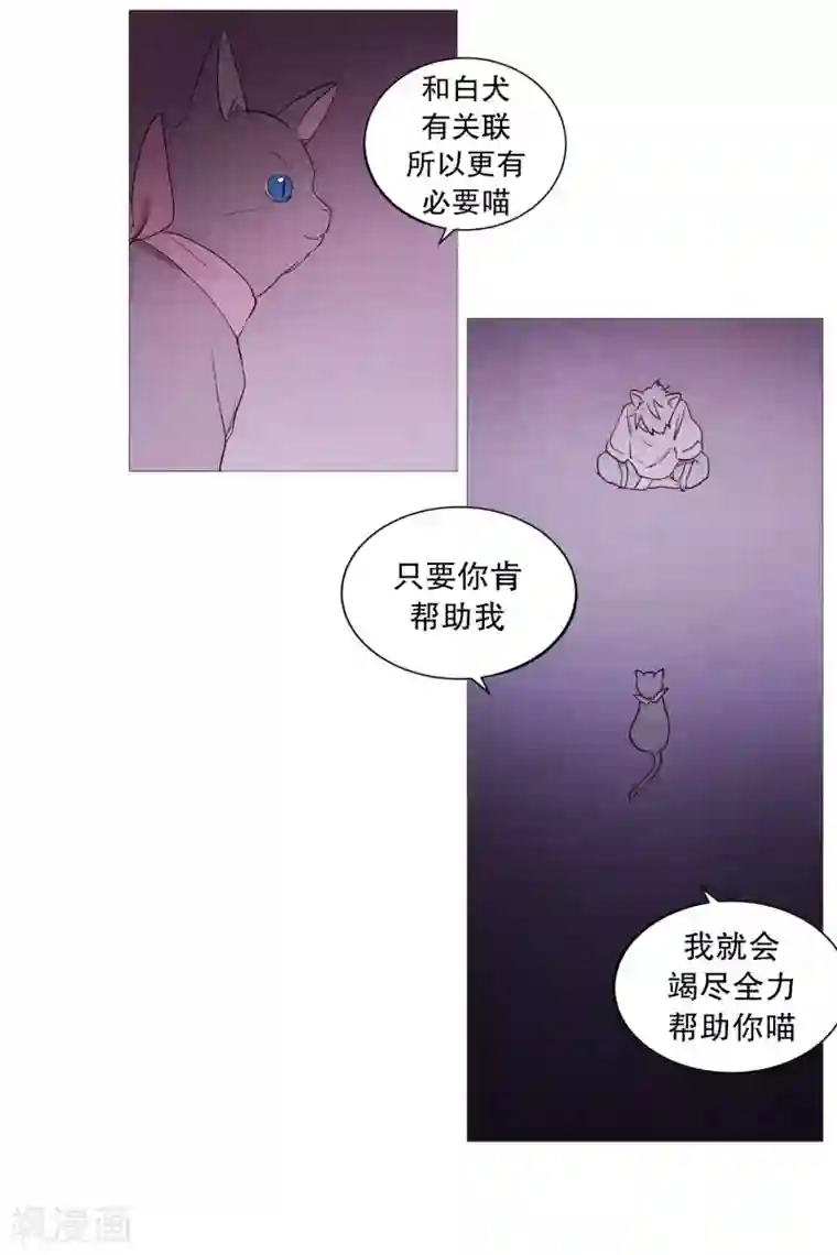 动物灵魂管理局第84话 借用力量