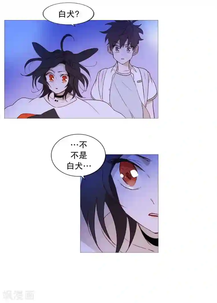 动物灵魂管理局第87话 喵