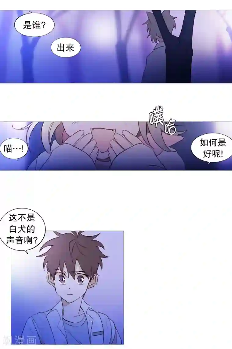 动物灵魂管理局第87话 喵