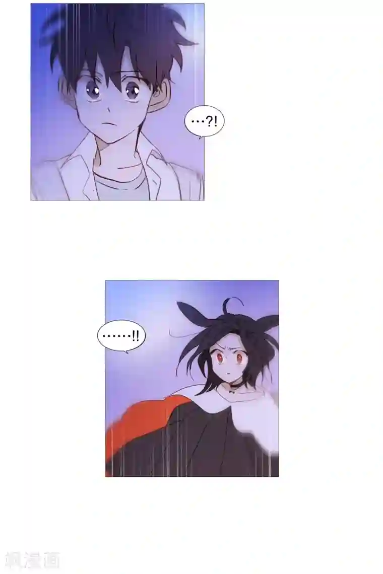 动物灵魂管理局第87话 喵