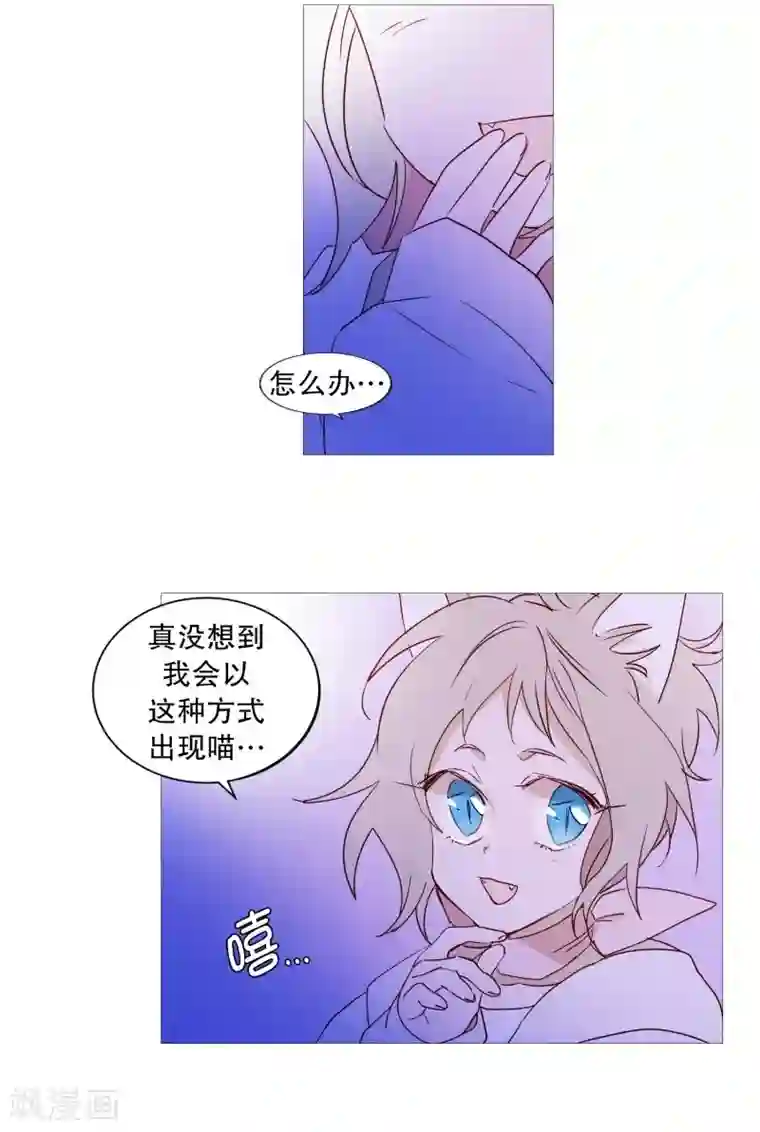 动物灵魂管理局第87话 喵