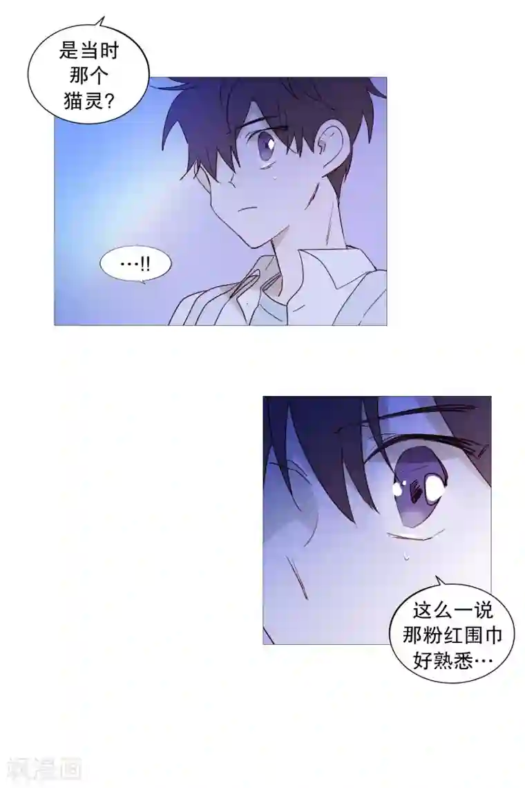 动物灵魂管理局第87话 喵