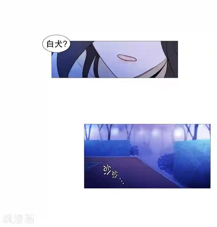 动物灵魂管理局第87话 喵