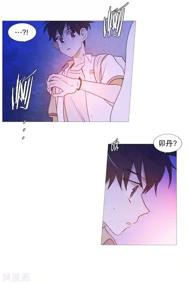 动物灵魂管理局第88话 为了杀人