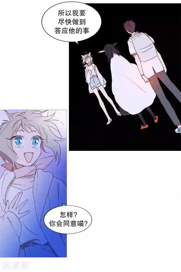 动物灵魂管理局第88话 为了杀人