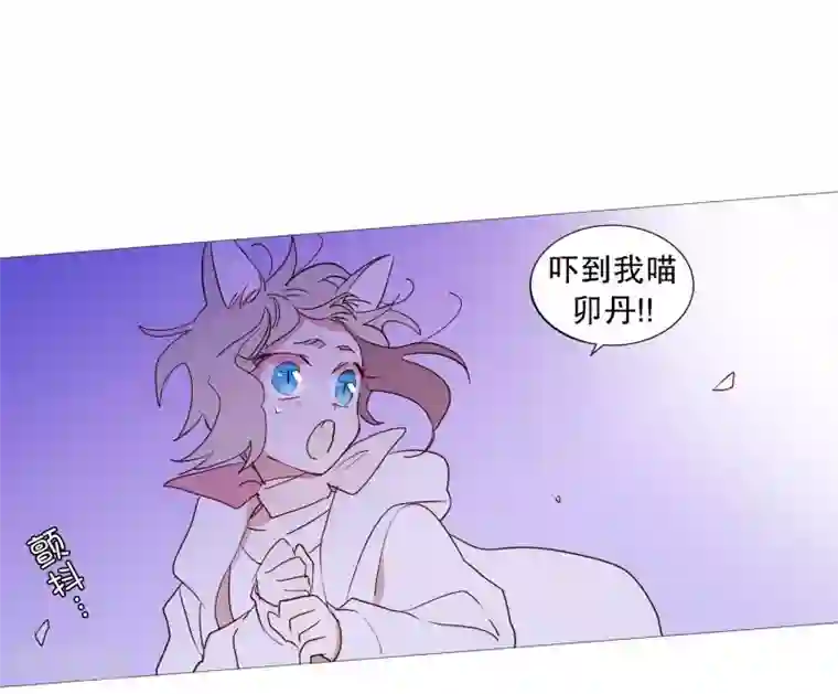 动物灵魂管理局第90话 猫兔大战