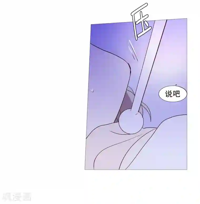 动物灵魂管理局第90话 猫兔大战
