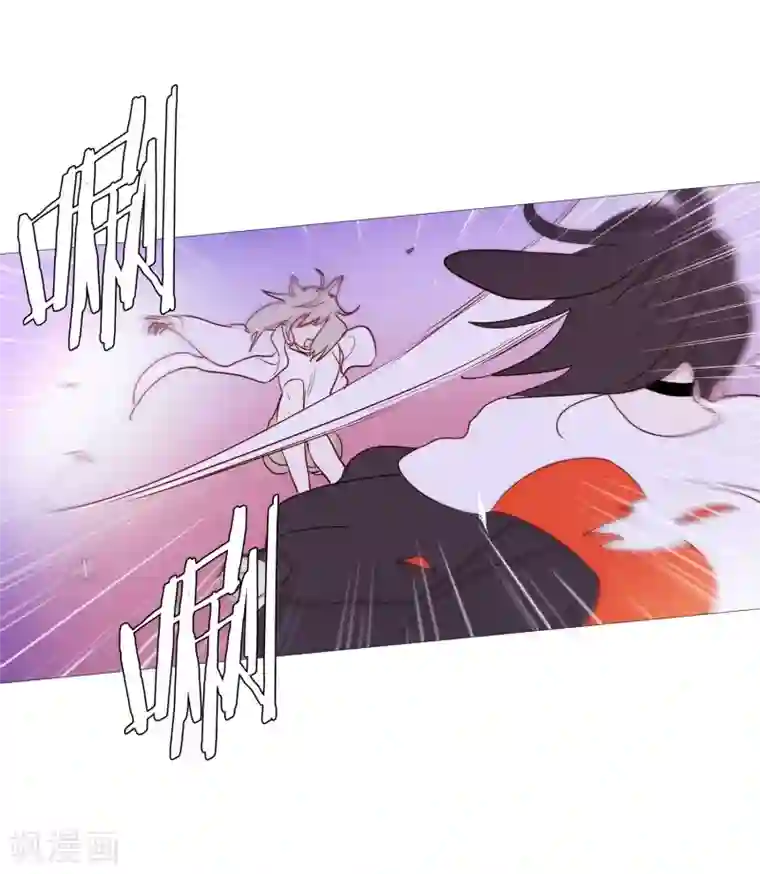 动物灵魂管理局第90话 猫兔大战