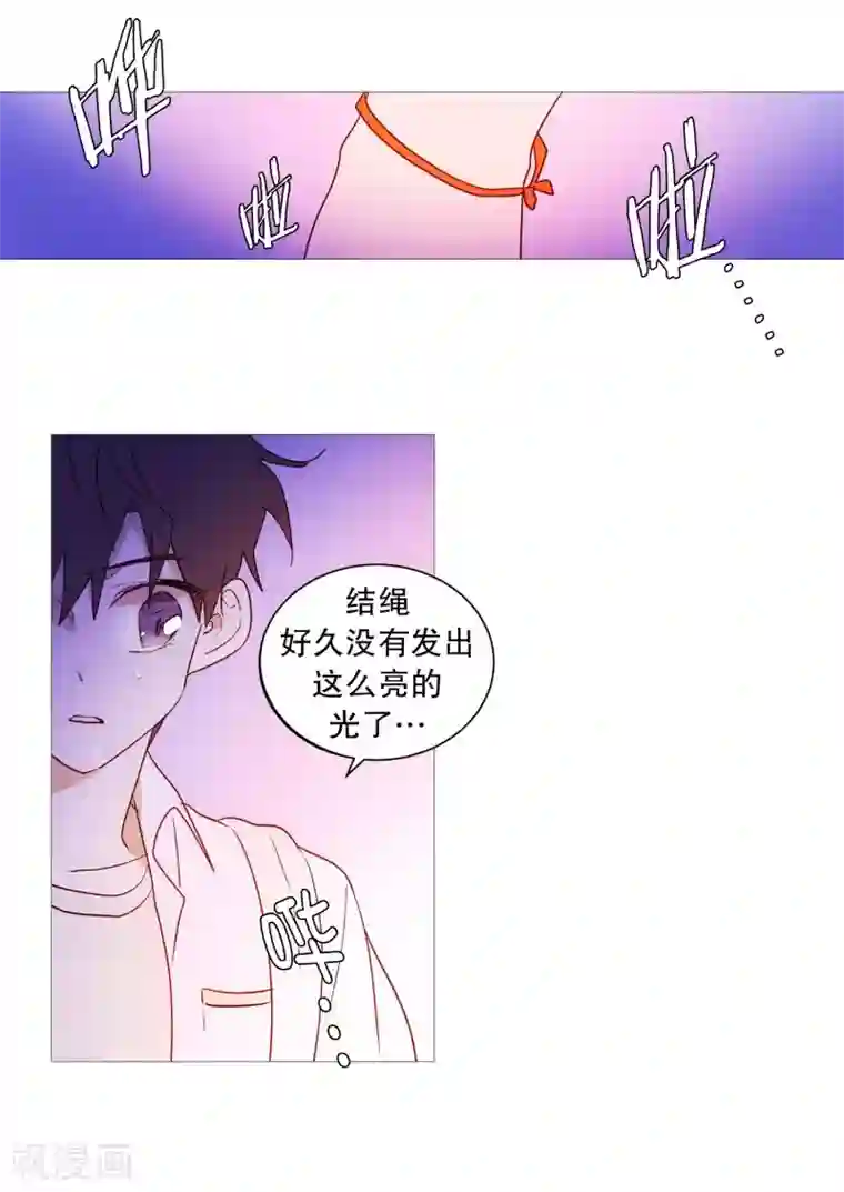 动物灵魂管理局第90话 猫兔大战