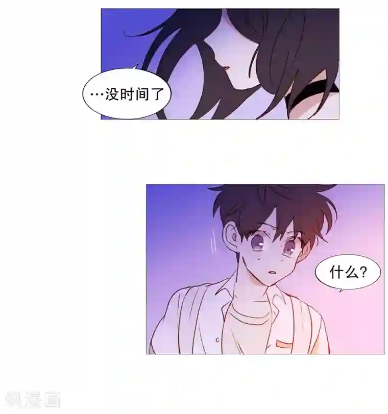 动物灵魂管理局第90话 猫兔大战