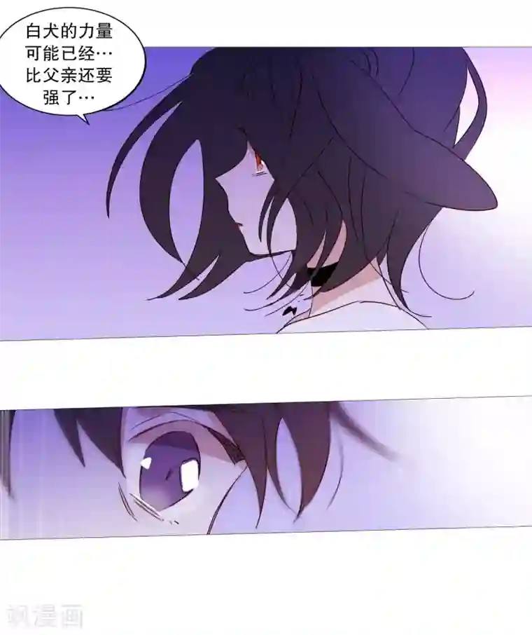 动物灵魂管理局第90话 猫兔大战