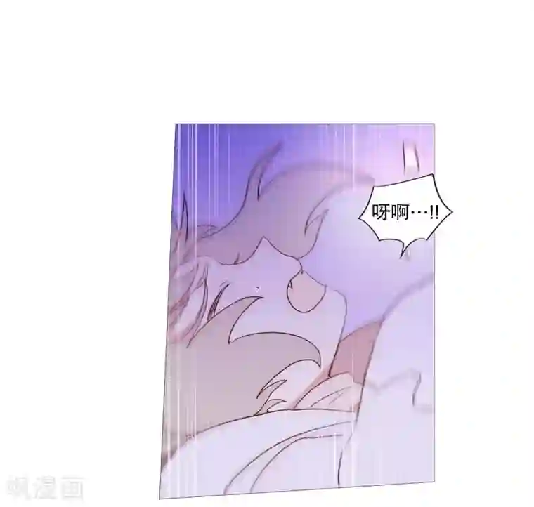 动物灵魂管理局第90话 猫兔大战