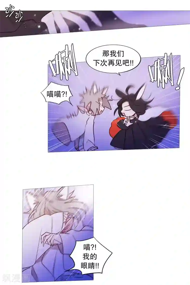 动物灵魂管理局第91话 逃跑