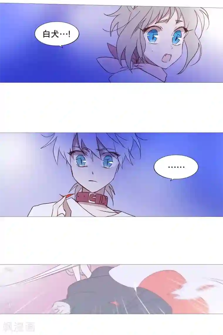 动物灵魂管理局第91话 逃跑