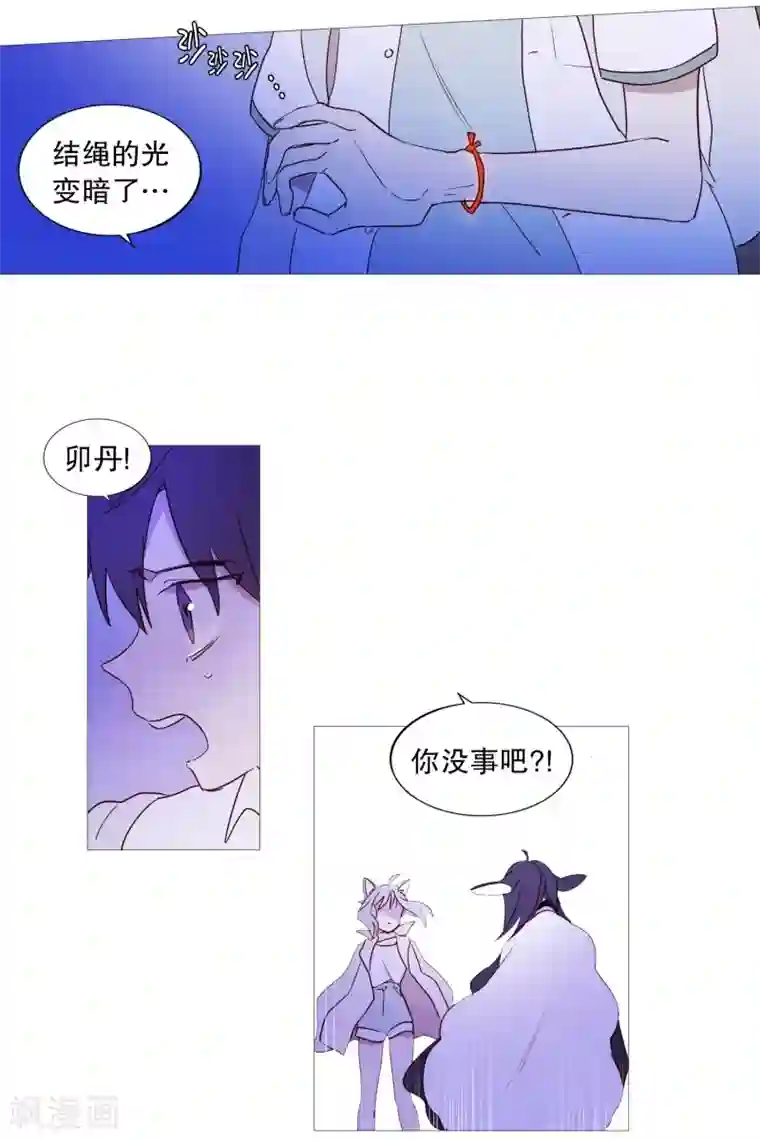 动物灵魂管理局第91话 逃跑