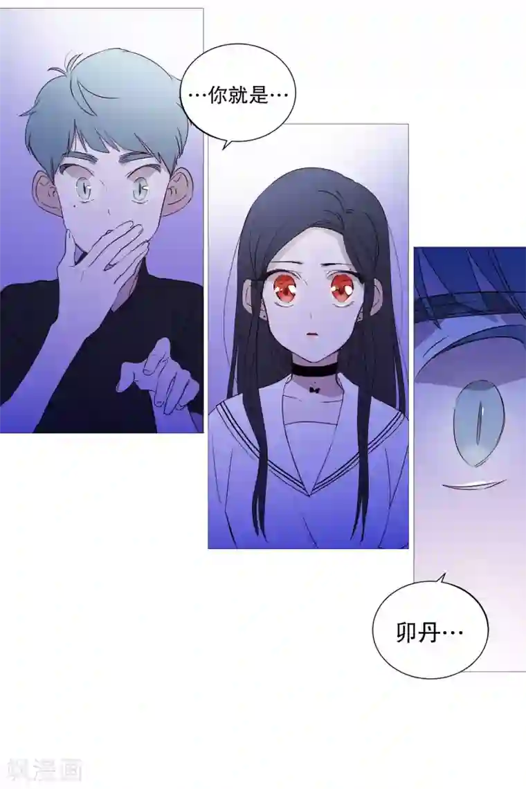 动物灵魂管理局第93话 崇拜者