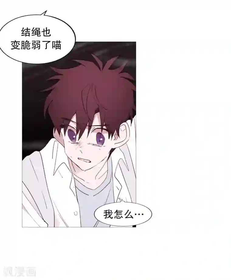 动物灵魂管理局第96话 最怕的东西