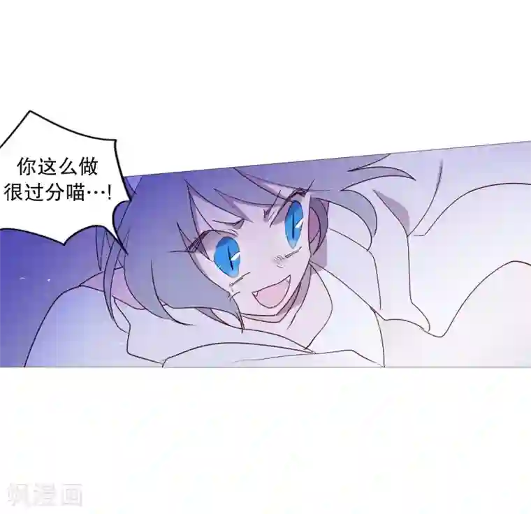 动物灵魂管理局第97话 重要的事情