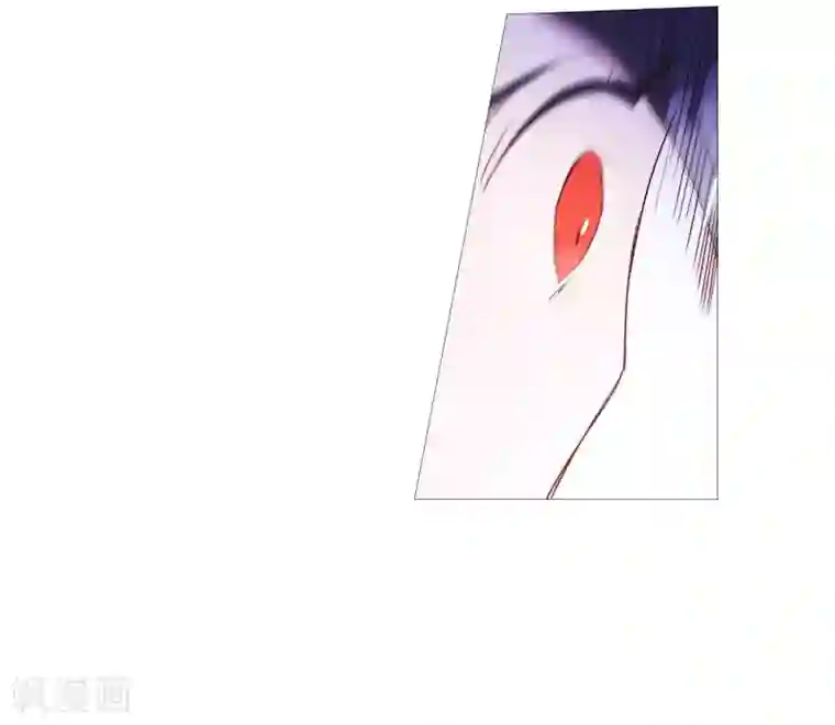 动物灵魂管理局第97话 重要的事情