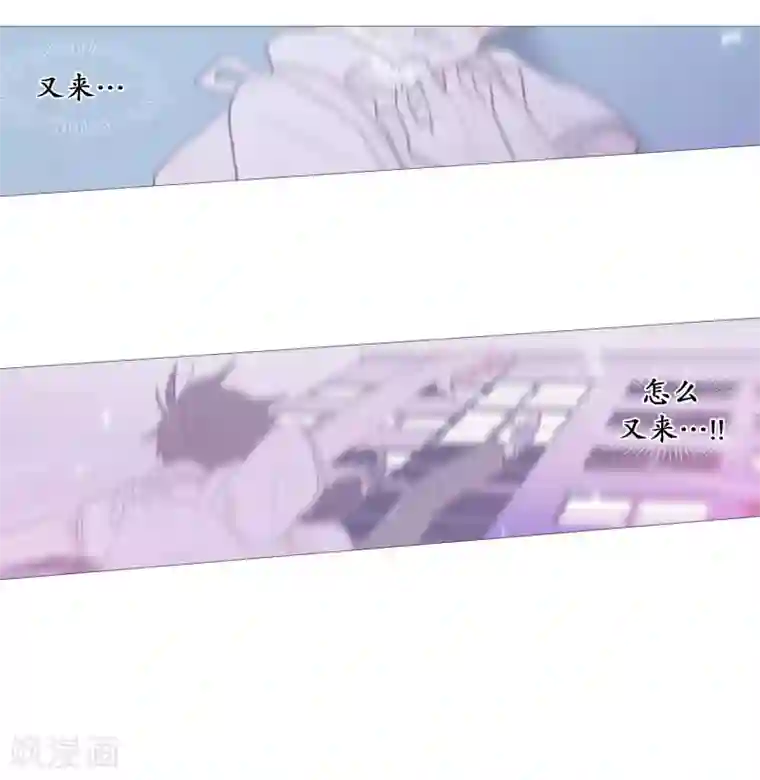 动物灵魂管理局第97话 重要的事情