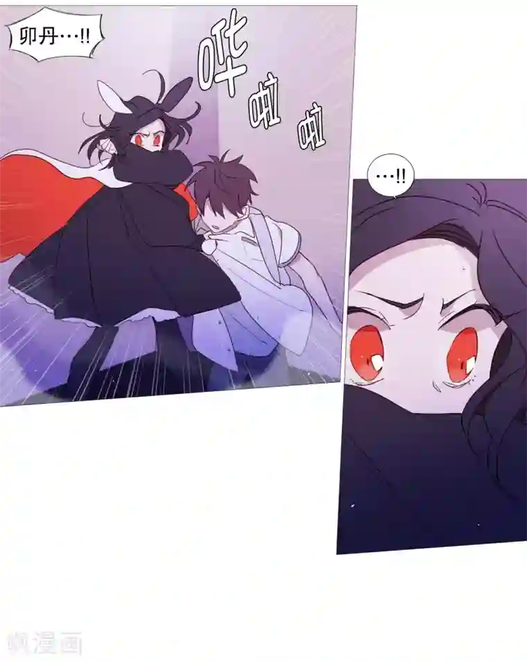 动物灵魂管理局第97话 重要的事情