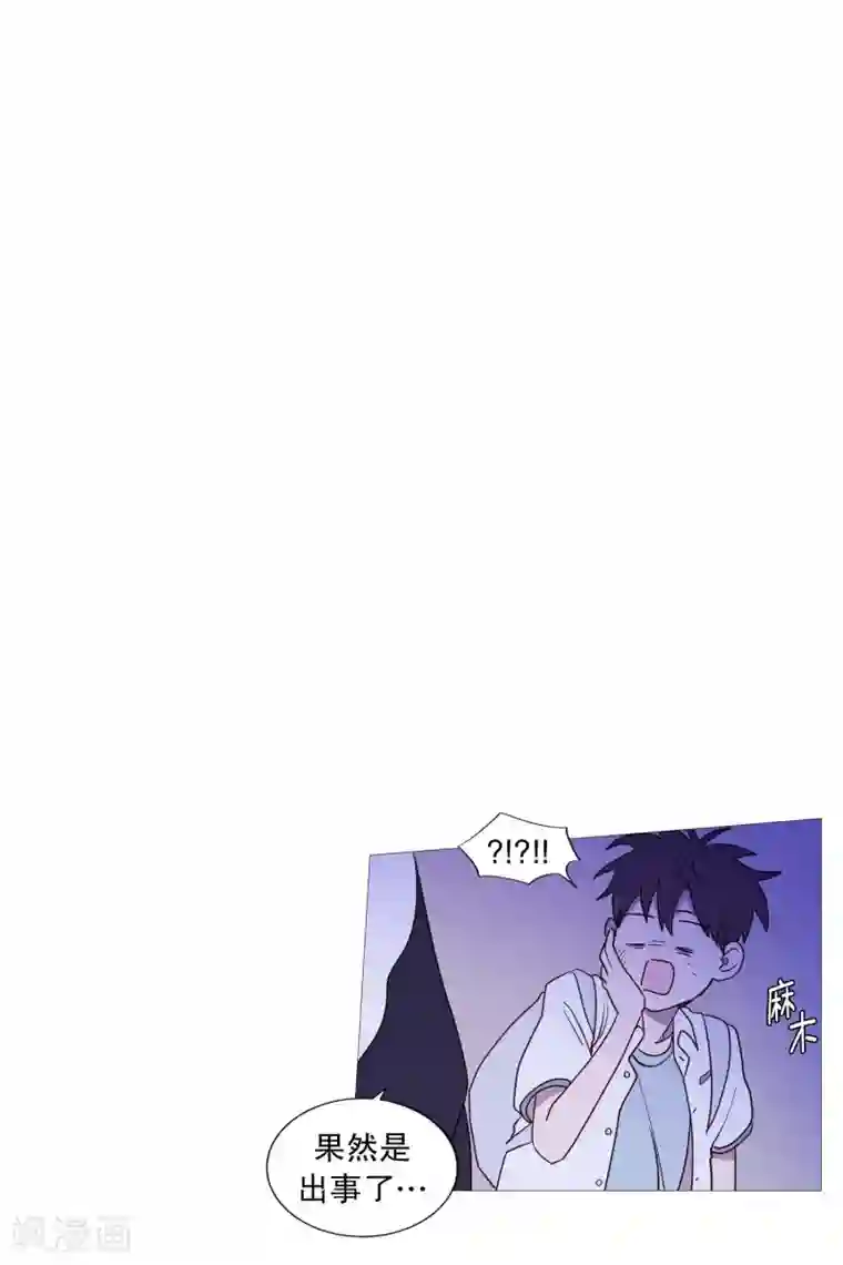 动物灵魂管理局第97话 重要的事情