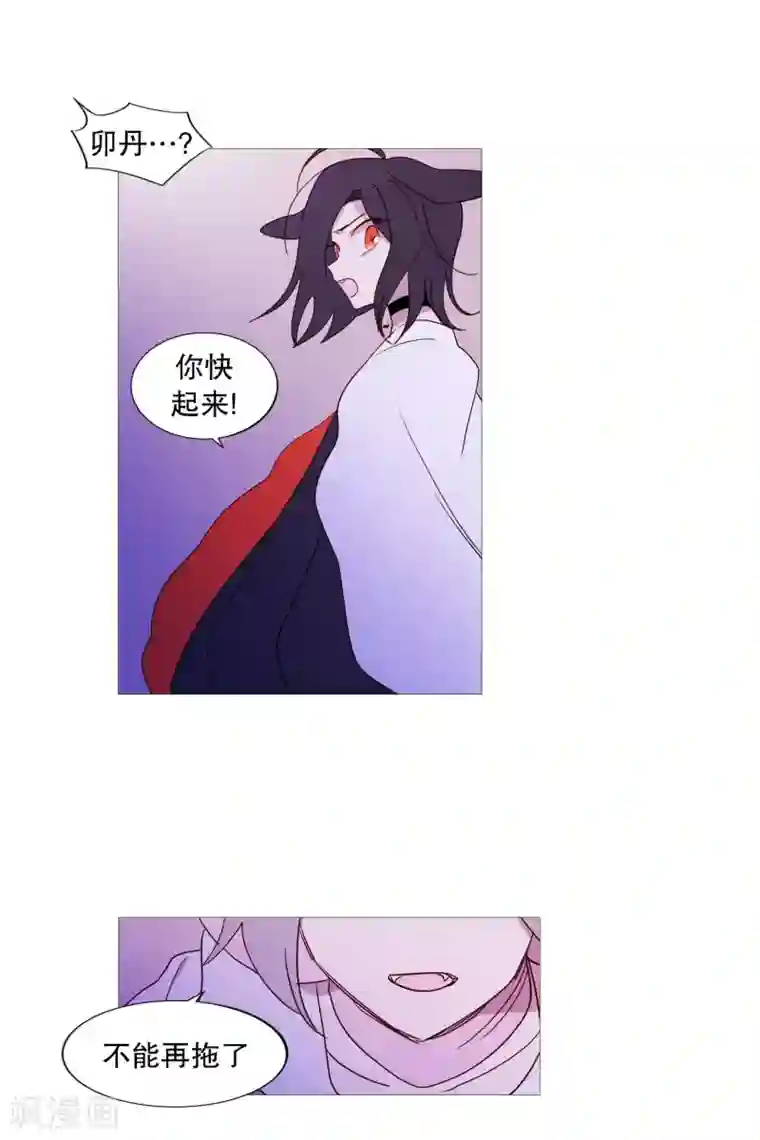 动物灵魂管理局第97话 重要的事情