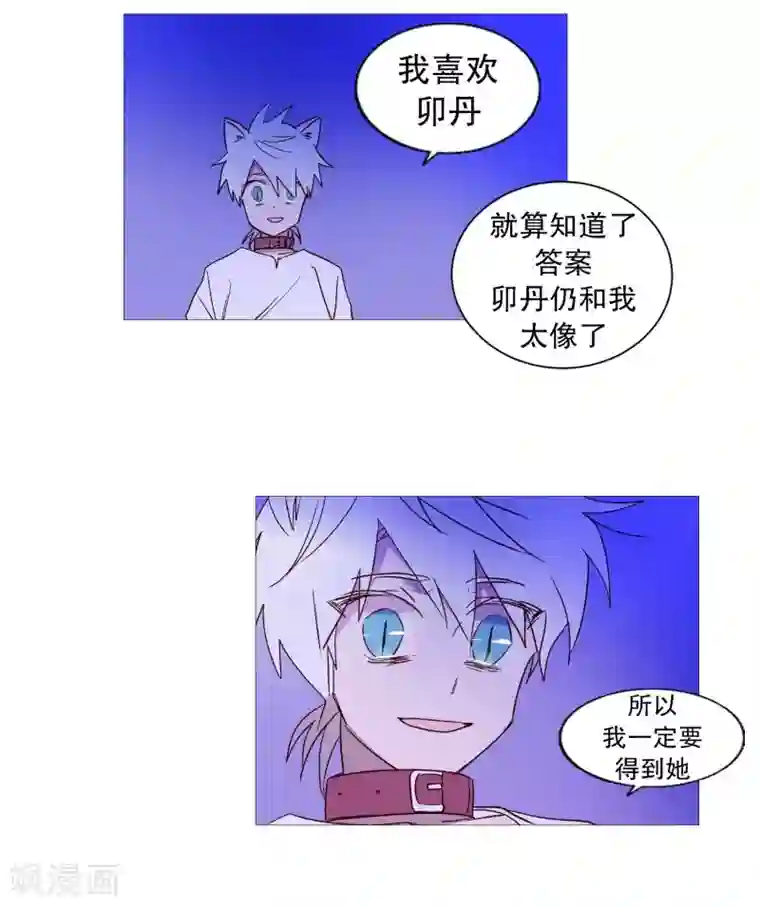 动物灵魂管理局第99话 无用的挣扎