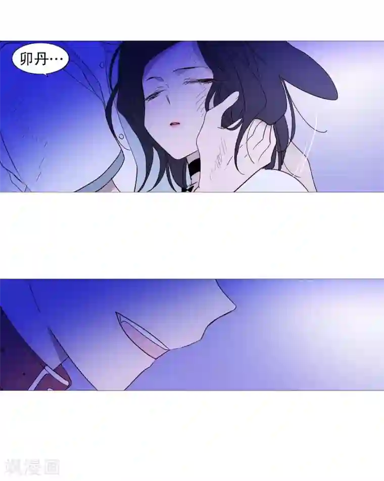 动物灵魂管理局第99话 无用的挣扎