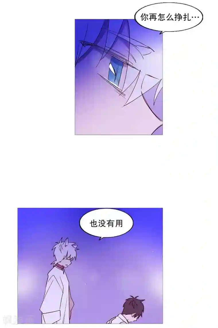 动物灵魂管理局第99话 无用的挣扎