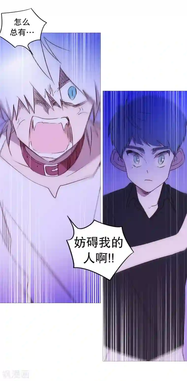 动物灵魂管理局第100话 我不会死