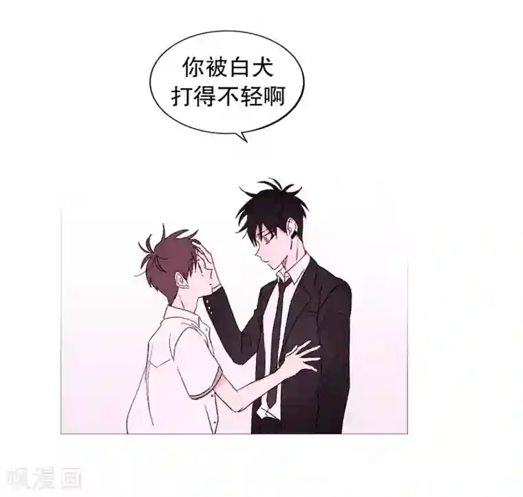 动物灵魂管理局第101话 不要轻易死掉
