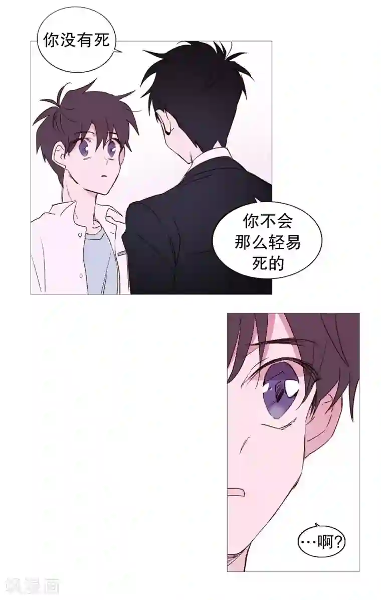 动物灵魂管理局第101话 不要轻易死掉