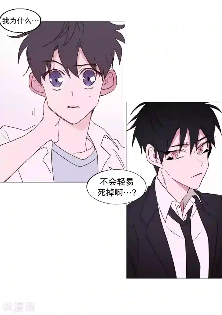 动物灵魂管理局第102话 命中注定