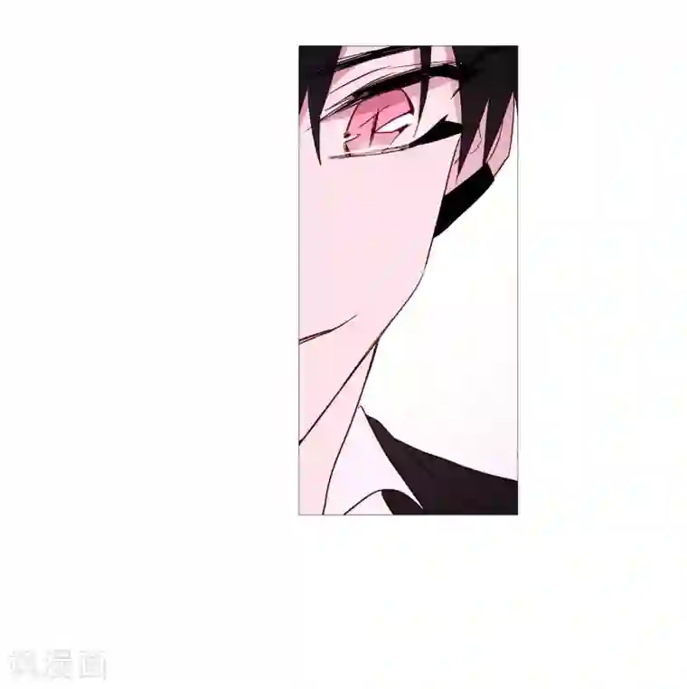 动物灵魂管理局第102话 命中注定