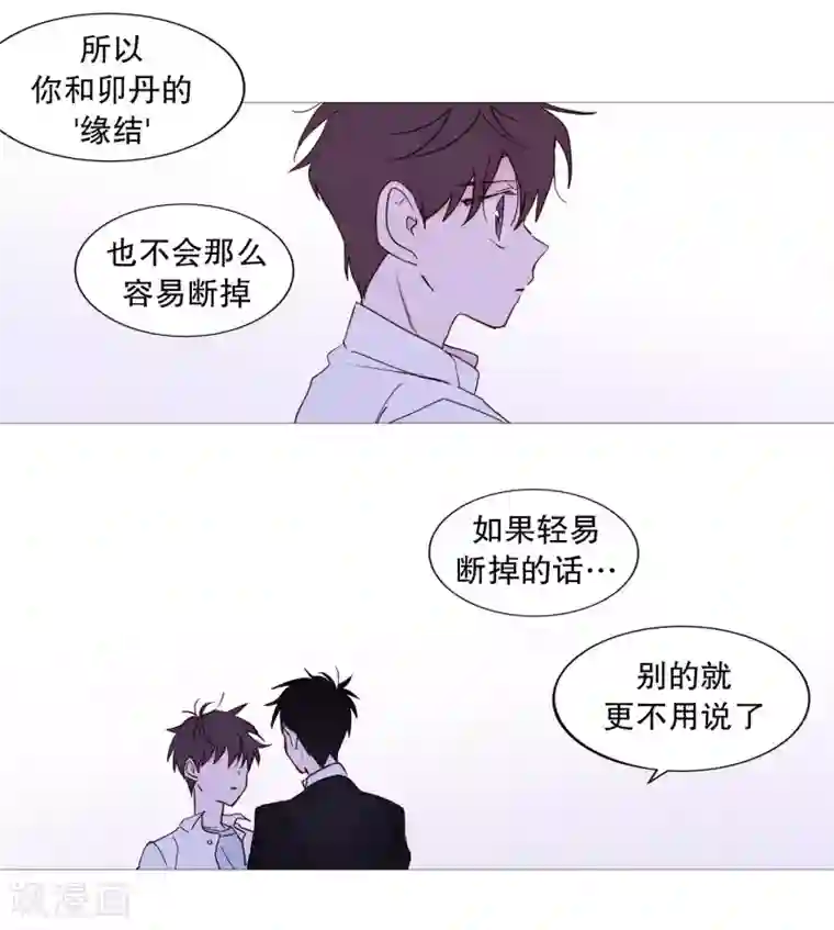 动物灵魂管理局第102话 命中注定