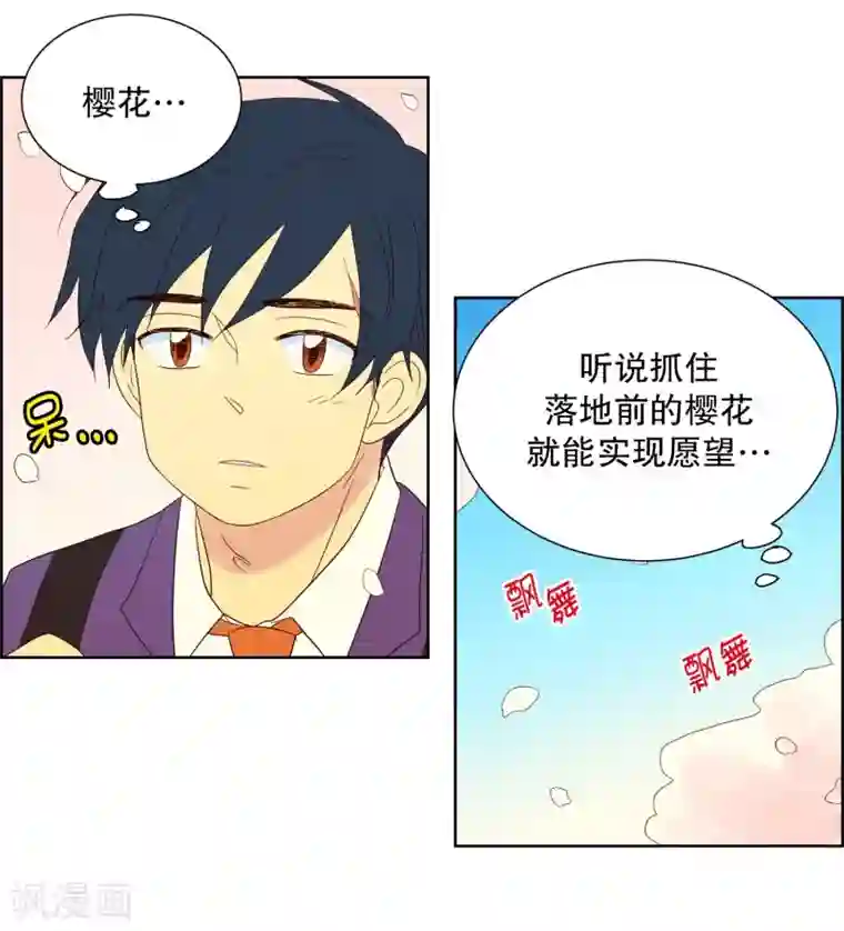 走进少女的心第76话 向花瓣许愿1