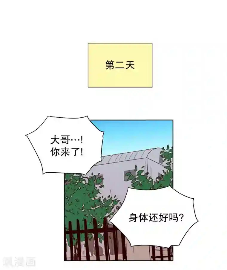 走进少女的心第77话 向花瓣许愿2